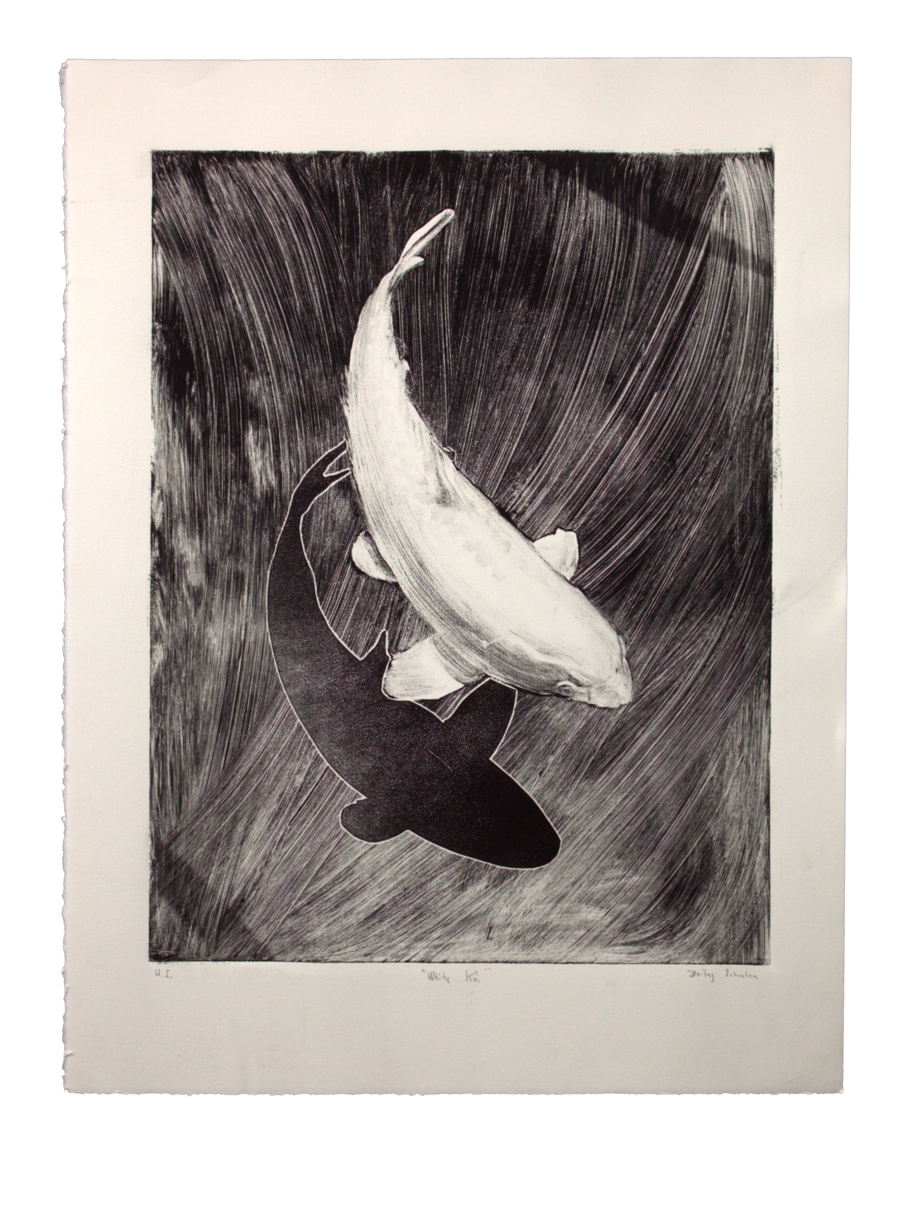 White Koi